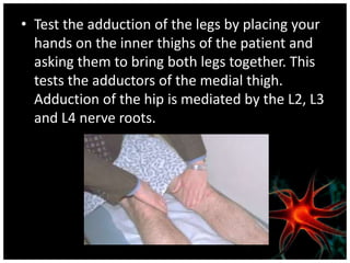 • Test the adduction of the legs by placing your
  hands on the inner thighs of the patient and
  asking them to bring both legs together. This
  tests the adductors of the medial thigh.
  Adduction of the hip is mediated by the L2, L3
  and L4 nerve roots.
 