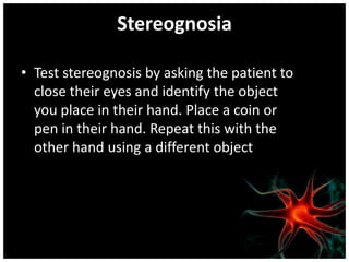 Stereognosia

• Test stereognosis by asking the patient to
  close their eyes and identify the object
  you place in their hand. Place a coin or
  pen in their hand. Repeat this with the
  other hand using a different object
 