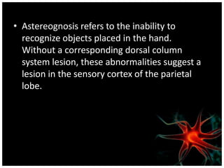 • Astereognosis refers to the inability to
  recognize objects placed in the hand.
  Without a corresponding dorsal column
  system lesion, these abnormalities suggest a
  lesion in the sensory cortex of the parietal
  lobe.
 