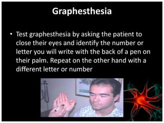 Graphesthesia

• Test graphesthesia by asking the patient to
  close their eyes and identify the number or
  letter you will write with the back of a pen on
  their palm. Repeat on the other hand with a
  different letter or number
 