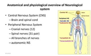 Anatomical and physiological overview of Neurological
system
• Central Nervous System (CNS)
– Brain and spinal cord
• Peripheral Nervous System
– Cranial nerves (12)
– Spinal nerves (31 pair)
– All branches of nerves
–autonomic NS
8/31/2023 5
 