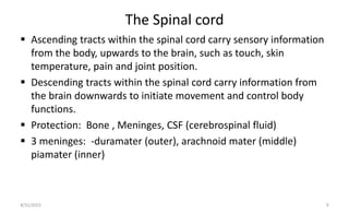 The Spinal cord
 Ascending tracts within the spinal cord carry sensory information
from the body, upwards to the brain, such as touch, skin
temperature, pain and joint position.
 Descending tracts within the spinal cord carry information from
the brain downwards to initiate movement and control body
functions.
 Protection: Bone , Meninges, CSF (cerebrospinal fluid)
 3 meninges: -duramater (outer), arachnoid mater (middle)
piamater (inner)
8/31/2023 9
 