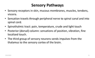 Sensory Pathways
• Sensory receptors in skin, mucous membranes, muscles, tendons,
viscera.
• Sensation travels through peripheral nerve to spinal canal and into
spinal cord.
• Spinothalmic tract: pain, temperature, crude and light touch
• Posterior (dorsal) column: sensations of position, vibration, fine
localized touch.
• The third group of sensory neurons sends impulses from the
thalamus to the sensory cortex of the brain.
8/31/2023 11
 