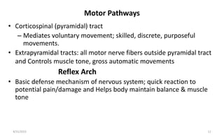 Motor Pathways
• Corticospinal (pyramidal) tract
– Mediates voluntary movement; skilled, discrete, purposeful
movements.
• Extrapyramidal tracts: all motor nerve fibers outside pyramidal tract
and Controls muscle tone, gross automatic movements
Reflex Arch
• Basic defense mechanism of nervous system; quick reaction to
potential pain/damage and Helps body maintain balance & muscle
tone
8/31/2023 12
 
