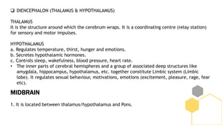  DIENCEPHALON (THALAMUS & HYPOTHALAMUS)
THALAMUS
It is the structure around which the cerebrum wraps. It is a coordinating centre (relay station)
for sensory and motor impulses.
HYPOTHALAMUS
a. Regulates temperature, thirst, hunger and emotions.
b. Secretes hypothalamic hormones.
c. Controls sleep, wakefulness, blood pressure, heart rate.
• The inner parts of cerebral hemispheres and a group of associated deep structures like
amygdala, hippocampus, hypothalamus, etc. together constitute Limbic system (Limbic
lobe). It regulates sexual behaviour, motivations, emotions (excitement, pleasure, rage, fear
etc).
MIDBRAIN
1. It is located between thalamus/hypothalamus and Pons.
 