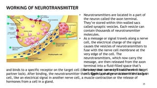 WORKING OF NEUROTRANSMITTER
25
• Neurotransmitters are located in a part of
the neuron called the axon terminal.
They’re stored within thin-walled sacs
called synaptic vesicles. Each vesicle can
contain thousands of neurotransmitter
molecules.
• As a message or signal travels along a nerve
cell, the electrical charge of the signal
causes the vesicles of neurotransmitters to
fuse with the nerve cell membrane at the
very edge of the cell. The
neurotransmitters, which now carry the
message, are then released from the axon
terminal into a fluid-filled space that’s
between one nerve cell and the next target
cell. Each type of neurotransmitter lands on
and binds to a specific receptor on the target cell (like a key that can only fit and work in its
partner lock). After binding, the neurotransmitter then triggers a change or action in the target
cell, like an electrical signal in another nerve cell, a muscle contraction or the release of
hormones from a cell in a gland.
 