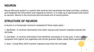 STRUCTURE OF NEURON
4
A neuron is a microscopic structure composed of three major parts :
1. Dendrites : It receives information from other neurons and transmit impulses towards the
cell body.
2. Cell Body : It receives information from dendrites and passes it to the axon. It also contains
cytoplasm with typical cell organelles and certain granular bodies called Nissl's granules.
3. Axon : A long fibre which transmit impulses away from the cell body.
NEURON
Neural (Nervous) system is a system that controls and coordinates the body activities, conducts
and integrates the information and responds to stimuli. It is made up of specialized cells known
as neurons. Neuron is the structural and functional unit of neural system.
 