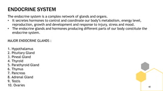 ENDOCRINE SYSTEM
40
The endocrine system is a complex network of glands and organs.
• It secretes hormones to control and coordinate our body’s metabolism, energy level,
reproduction, growth and development and response to injury, stress and mood.
• The endocrine glands and hormones producing different parts of our body constitute the
endocrine system.
MAJOR ENDOCRINE GLANDS :
1. Hypothalamus
2. Pituitary Gland
3. Pineal Gland
4. Thyroid
5. Parathyroid Gland
6. Thymus
7. Pancreas
8. Adrenal Gland
9. Testis
10. Ovaries
 