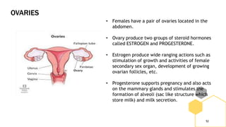 OVARIES
52
• Females have a pair of ovaries located in the
abdomen.
• Ovary produce two groups of steroid hormones
called ESTROGEN and PROGESTERONE.
• Estrogen produce wide ranging actions such as
stimulation of growth and activities of female
secondary sex organ, development of growing
ovarian follicles, etc.
• Progesterone supports pregnancy and also acts
on the mammary glands and stimulates the
formation of alveoli (sac like structure which
store milk) and milk secretion.
 