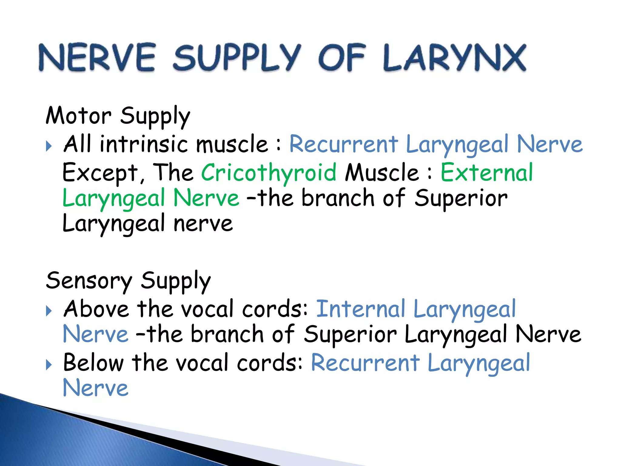 Motor Supply
 All intrinsic muscle : Recurrent Laryngeal Nerve
Except, The Cricothyroid Muscle : External
Laryngeal Nerve –the branch of Superior
Laryngeal nerve
Sensory Supply
 Above the vocal cords: Internal Laryngeal
Nerve –the branch of Superior Laryngeal Nerve
 Below the vocal cords: Recurrent Laryngeal
Nerve
 