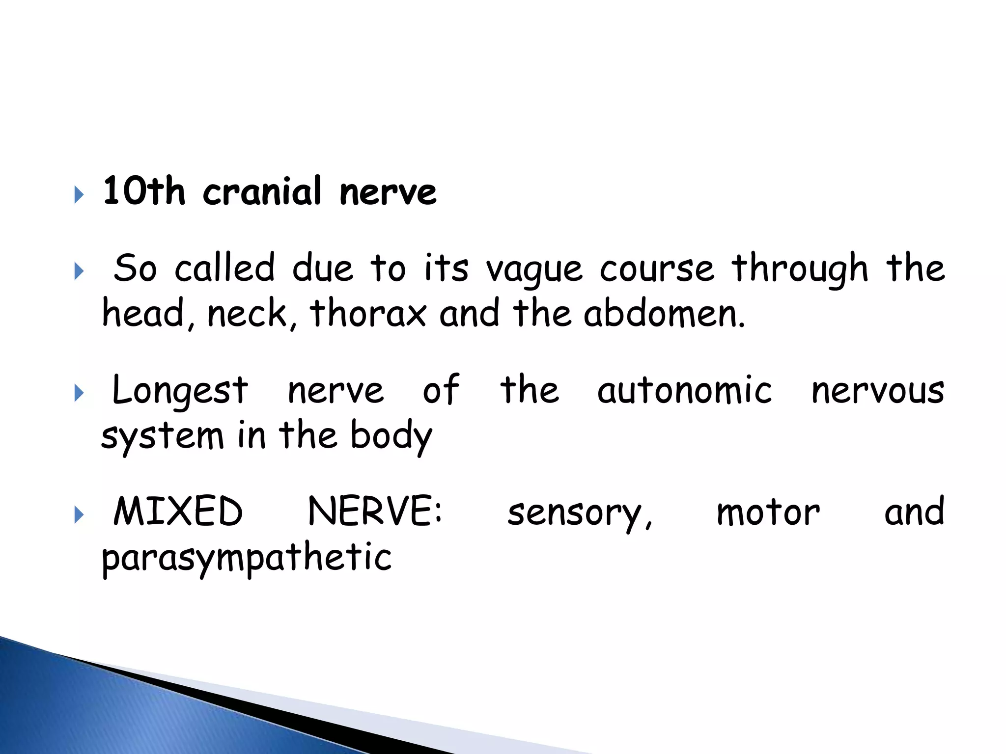  10th cranial nerve
 So called due to its vague course through the
head, neck, thorax and the abdomen.
 Longest nerve of the autonomic nervous
system in the body
 MIXED NERVE: sensory, motor and
parasympathetic
 