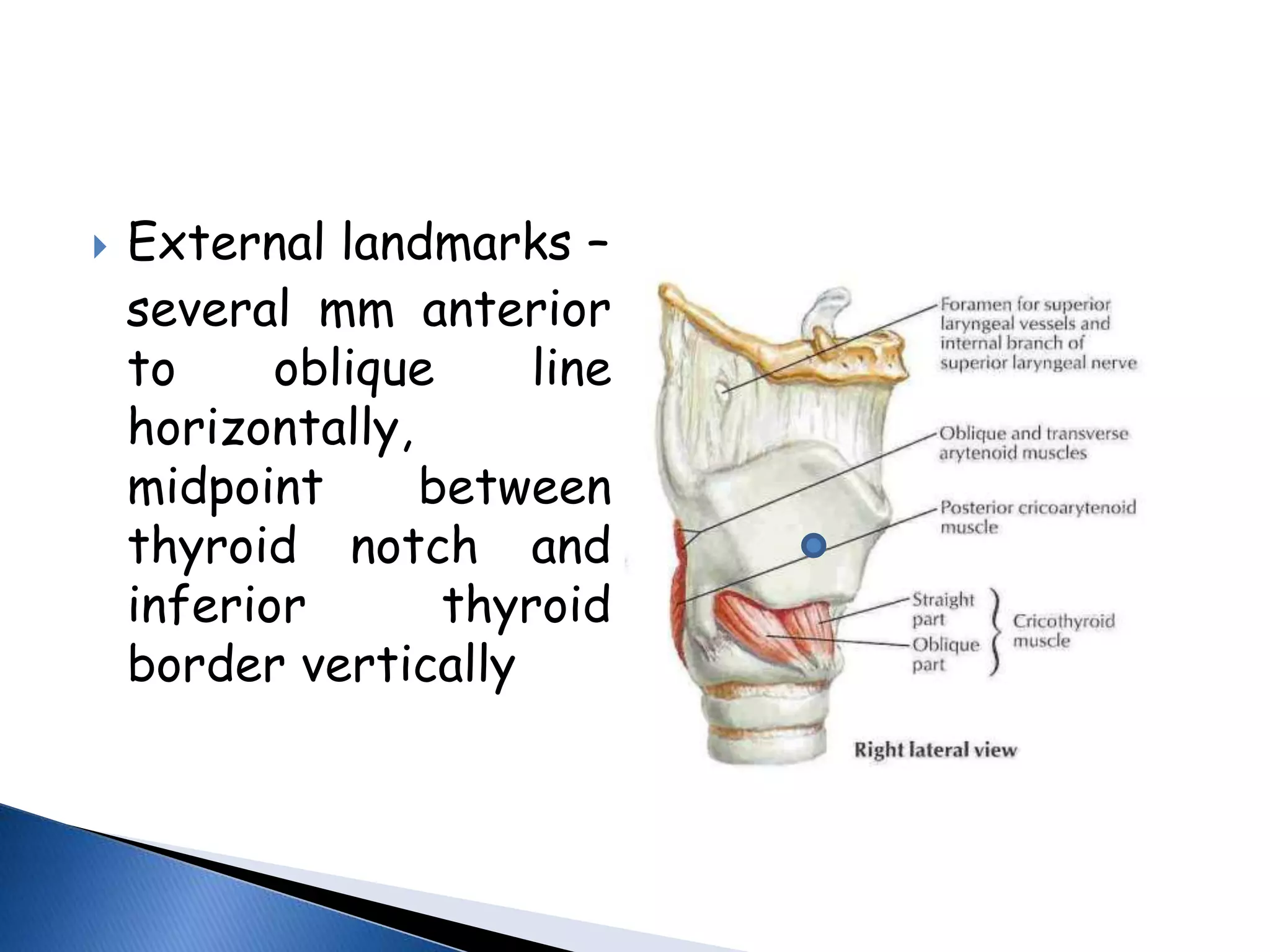  External landmarks –
several mm anterior
to oblique line
horizontally,
midpoint between
thyroid notch and
inferior thyroid
border vertically
 