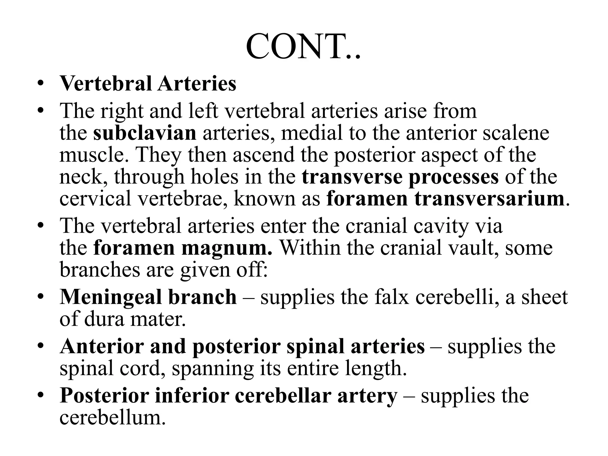 CONT..
• Vertebral Arteries
• The right and left vertebral arteries arise from
the subclavian arteries, medial to the anterior scalene
muscle. They then ascend the posterior aspect of the
neck, through holes in the transverse processes of the
cervical vertebrae, known as foramen transversarium.
• The vertebral arteries enter the cranial cavity via
the foramen magnum. Within the cranial vault, some
branches are given off:
• Meningeal branch – supplies the falx cerebelli, a sheet
of dura mater.
• Anterior and posterior spinal arteries – supplies the
spinal cord, spanning its entire length.
• Posterior inferior cerebellar artery – supplies the
cerebellum.
 