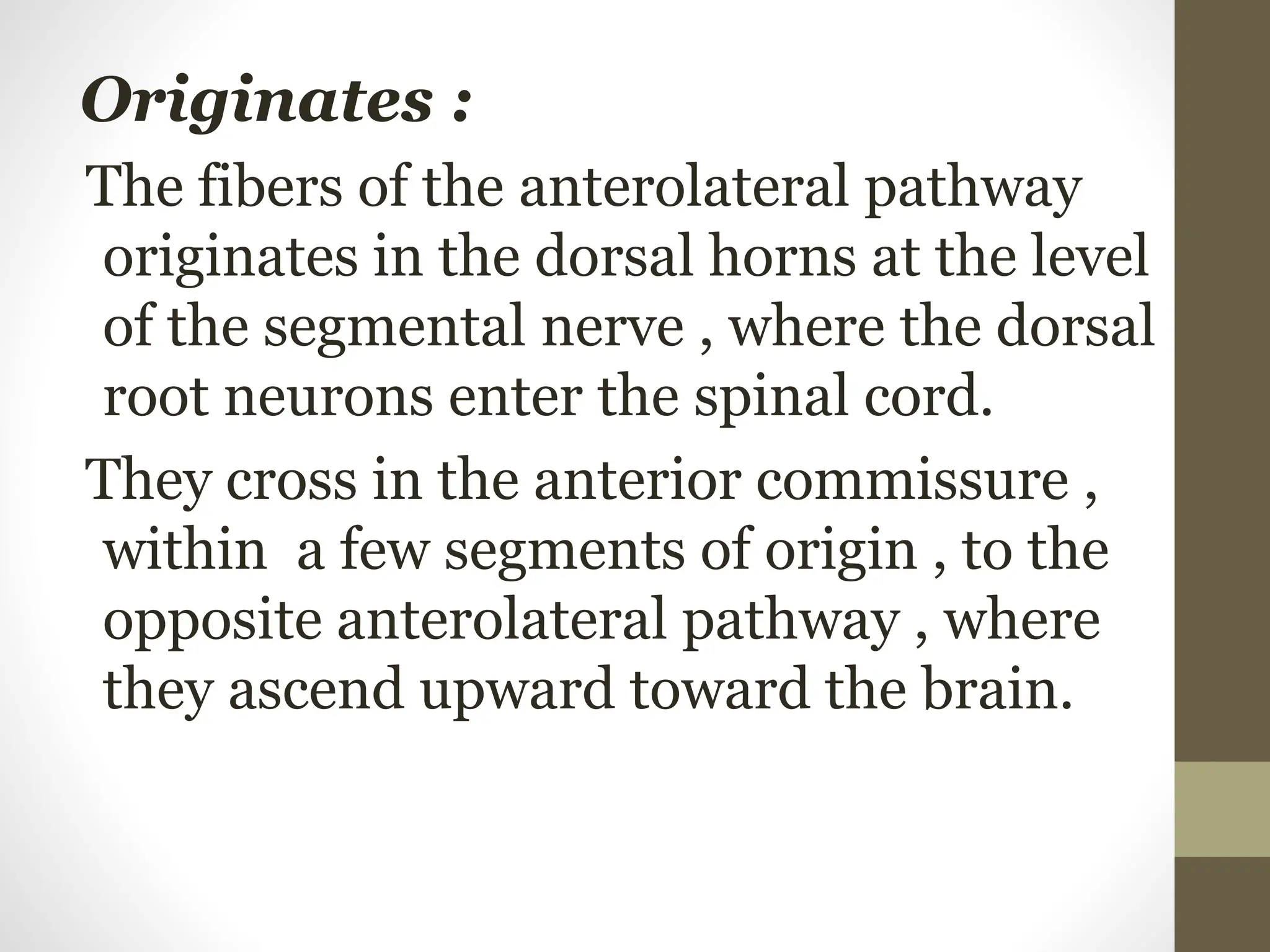 Originates :
The fibers of the anterolateral pathway
originates in the dorsal horns at the level
of the segmental nerve , where the dorsal
root neurons enter the spinal cord.
They cross in the anterior commissure ,
within a few segments of origin , to the
opposite anterolateral pathway , where
they ascend upward toward the brain.
 