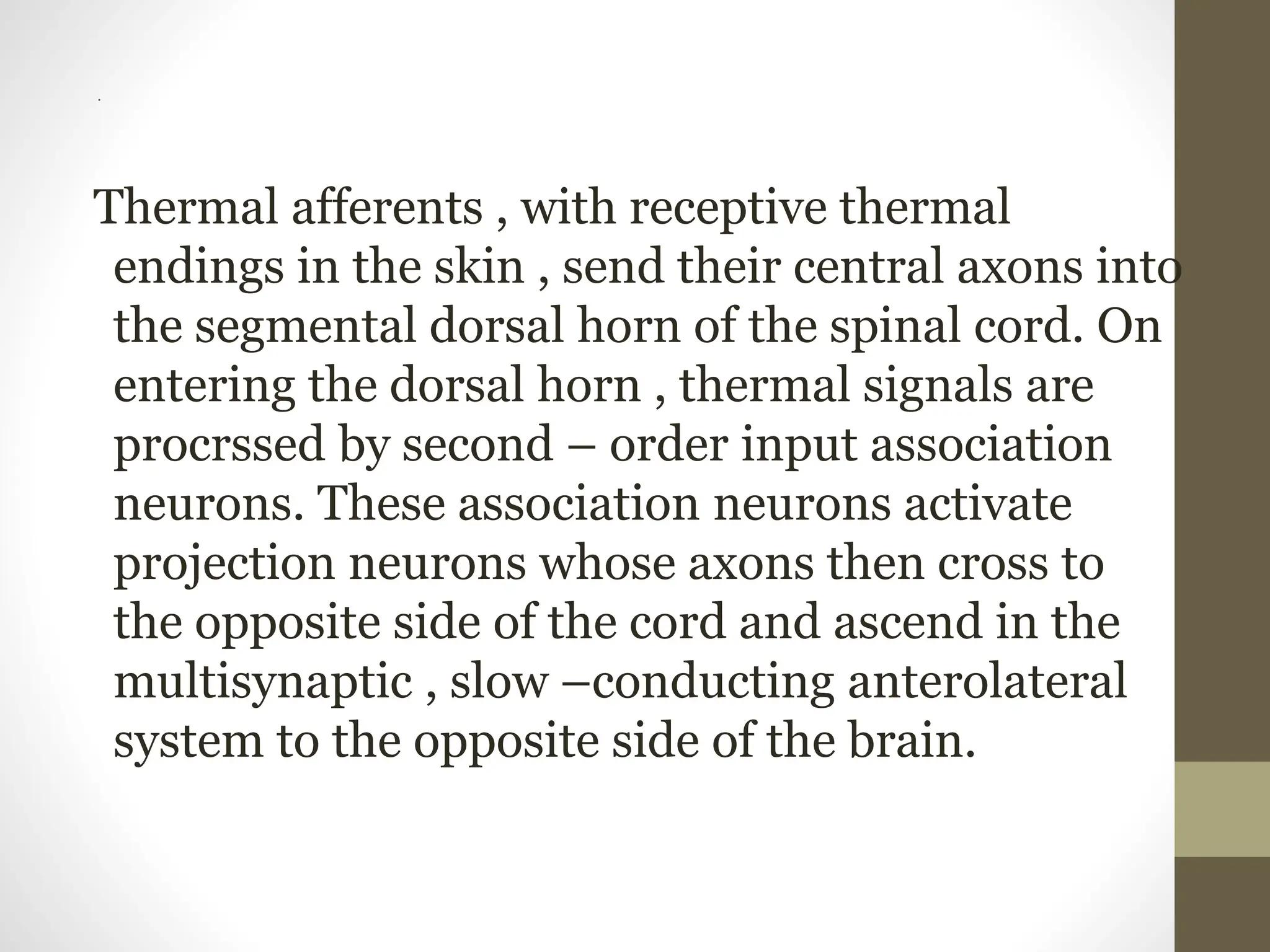 .
Thermal afferents , with receptive thermal
endings in the skin , send their central axons into
the segmental dorsal horn of the spinal cord. On
entering the dorsal horn , thermal signals are
procrssed by second – order input association
neurons. These association neurons activate
projection neurons whose axons then cross to
the opposite side of the cord and ascend in the
multisynaptic , slow –conducting anterolateral
system to the opposite side of the brain.
 