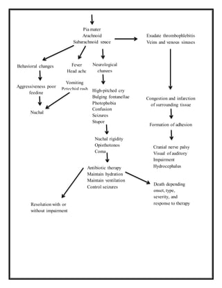 Nuchal
Pia mater
Arachnoid
Subarachnoid space
Behavioral changes
Aggressiveness poor
feeding
Fever
Head ache
Neurological
changes
Vomiting
Petechial rash
Exudate thrombophlebitis
Veins and venous sinuses
High-pitched cry
Bulging fontanellae
Photophobia
Confusion
Seizures
Stupor
Nuchal rigidity
Opisthotonos
Coma
Congestion and infarction
of surrounding tissue
Formation of adhesion
Cranial nerve palsy
Visual of auditory
Impairment
HydrocephalusAntibiotic therapy
Maintain hydration
Maintain ventilation
Control seizures
Resolution with or
without impairment
Death depending
onset, type,
severity, and
response to therapy
 