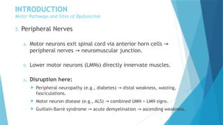 NEUROLOGICAL DISORDERS OF MOTOR FUNCTION [Autosaved].pptx