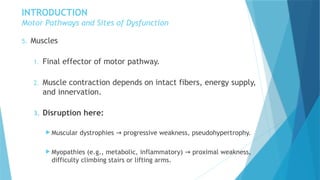NEUROLOGICAL DISORDERS OF MOTOR FUNCTION [Autosaved].pptx