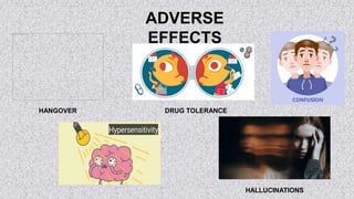 ADVERSE
EFFECTS
HANGOVER DRUG TOLERANCE
HALLUCINATIONS
 