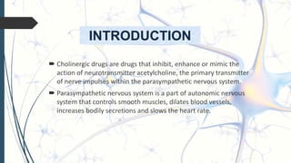 INTRODUCTION
 Cholinergic drugs are drugs that inhibit, enhance or mimic the
action of neurotransmitter acetylcholine, the primary transmitter
of nerve impulses within the parasympathetic nervous system.
 Parasympathetic nervous system is a part of autonomic nervous
system that controls smooth muscles, dilates blood vessels,
increases bodily secretions and slows the heart rate.
 