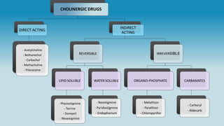 CHOLINERGIC DRUGS
DIRECT ACTING
- Acetylcholine
- Bethanechol
- Carbachol
- Methacholine
- Pilocarpine
INDIRECT
ACTING
REVERSIBLE
LIPID SOLUBLE
- Physiostigmine
- Tacrine
- Donepzil
- Revastigmine
WATER SOLUBLE
- Neostigmine
- Pyridostigmine
- Endophorium
IRREVERSIBLE
ORGANO-PHOSPHATE
- Melathion
- Parathion
- Chloropyrifos
CARBAMATES
- Carbaryl
- Aldecarb
 