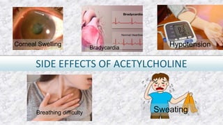 Corneal Swelling
Bradycardia Hypotension
Breathing difficulty Sweating
SIDE EFFECTS OF ACETYLCHOLINE
 