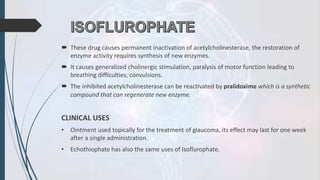  These drug causes permanent inactivation of acetylcholinesterase, the restoration of
enzyme activity requires synthesis of new enzymes.
 It causes generalized cholinergic stimulation, paralysis of motor function leading to
breathing difficulties, convulsions.
 The inhibited acetylcholinesterase can be reactivated by pralidoxime which is a synthetic
compound that can regenerate new enzyme.
CLINICAL USES
• Ointment used topically for the treatment of glaucoma, its effect may last for one week
after a single administration.
• Echothiophate has also the same uses of Isoflurophate.
 