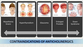 Myasthenia
Gravis
Hyperthyroidism Glaucoma
Enlarged
Prostate
Down
Syndrome
CONTRAINDICATIONS OF ANTICHOLINERGICS
 