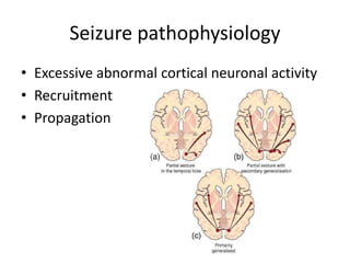 Seizure pathophysiology
• Excessive abnormal cortical neuronal activity
• Recruitment
• Propagation
 