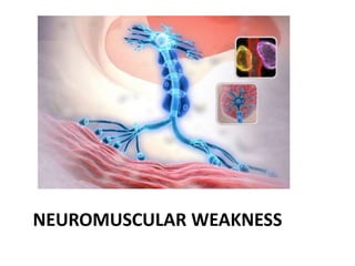 NEUROMUSCULAR WEAKNESS
 