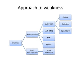 Approach to weakness
Weakness
Neuromuscular
UMN (CNS)
Cortical
Brainstem
Spinal CordLMN (PNS)
NMJ
Muscle
Non-
neuromuscular
Wide
differential
 