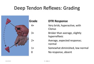 NEUROLOGICAL EXAMINATION-1.pptx