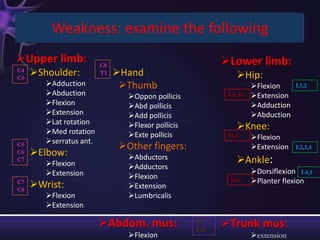 Weakness: examine the following
Upper limb:             C8                              Lower limb:
C4
C5
     Shoulder:          T1   Hand                          Hip:
        Adduction             Thumb                              Flexion     L1,2
        Abduction              Oppon pollicis           L5, S1   Extension
        Flexion                Abd pollicis                      Adduction
        Extension              Add pollicis                      Abduction
        Lat rotation
        Med rotation
                                Flexor pollicis             Knee:
                                Exte pollicis            S1,2     Flexion
        serratus ant.
C5                            Other fingers:                      Extension   L2,3,4
C6   Elbow:                    Abductors
C7
        Flexion                                             Ankle:
                                Adductors
        Extension                                                 Dorsiflexion L4,5
                                Flexion                  S1,2     Planter flexion
C7
C8
     Wrist:                    Extension
        Flexion                Lumbricalis
        Extension

                         Abdom. mus:              T7-
                                                   T12
                                                         Trunk mus:
                                Flexion                           extension
 