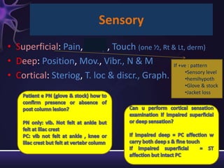 Sensory
• Superficial: Pain, Temp, Touch (one ⅟2, Rt & Lt, derm)
• Deep: Position, Mov., Vibr., N & M          If +ve : pattern
                                                    •Sensory level
• Cortical: Steriog, T. loc & discr., Graph.        •hemihypoth
                                                       •Glove & stock
                                                       •Jacket loss
 