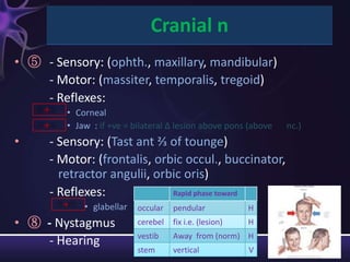 Cranial n
• ⑤ - Sensory: (ophth., maxillary, mandibular)
    - Motor: (massiter, temporalis, tregoid)
    - Reflexes:
     →
            • Corneal
     →      • Jaw : if +ve = bilateral ∆ lesion above pons (above   nc.)
•        - Sensory: (Tast ant ⅔ of tounge)
         - Motor: (frontalis, orbic occul., buccinator,
           retractor angulii, orbic oris)
         - Reflexes:             Rapid phase toward
           →    • glabellar   occular   pendular            H
• ⑧ - Nystagmus               cerebel   fix i.e. (lesion)   H
                              vestib    Away from (norm) H
    - Hearing
                              stem      vertical            V
 