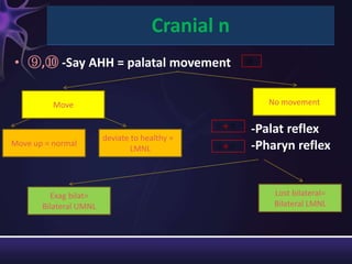 Cranial n
• ⑨,⑩ -Say AHH = palatal movement

          Move                                        No movement

                                               →
                                                   -Palat reflex
                        deviate to healthy =
Move up = normal
                                LMNL           →   -Pharyn reflex


         Exag bilat=                                   Lost bilateral=
       Bilateral UMNL                                  Bilateral LMNL
 