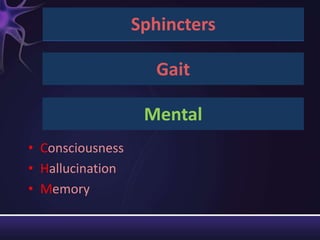 Sphincters

                    Gait

                   Mental
• Consciousness
• Hallucination
• Memory
 