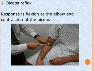 1. Biceps reflex

Response is flexion at the elbow and
contraction of the biceps
 