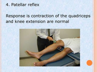 4. Patellar reflex

Response is contraction of the quadriceps
and knee extension are normal
 