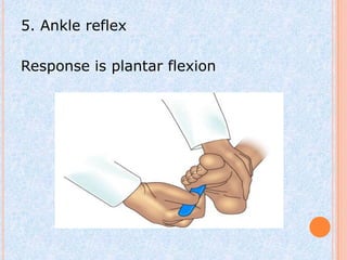 5. Ankle reflex

Response is plantar flexion
 