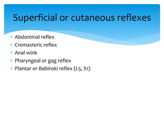  Abdominal reflex
 Cremasteric reflex
 Anal wink
 Pharyngeal or gag reflex
 Plantar or Babinski reflex (L5, S1)
Superficial or cutaneous reflexes
 
