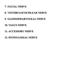 7. FACIAL NERVE
8. VESTIBULOCOCHLEAR NERVE
9. GLOSSOPHARYNGEAL NERVE
10. VAGUS NERVE
11. ACCESSORY NERVE
12. HYPOGLOSSAL NERVE
 