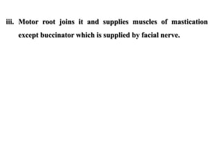 iii. Motor root joins it and supplies muscles of mastication
except buccinator which is supplied by facial nerve.
 