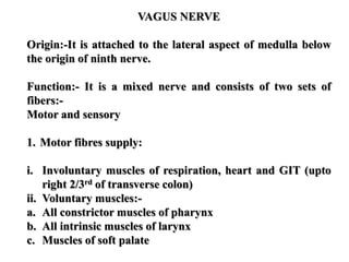 VAGUS NERVE
Origin:-It is attached to the lateral aspect of medulla below
the origin of ninth nerve.
Function:- It is a mixed nerve and consists of two sets of
fibers:-
Motor and sensory
1. Motor fibres supply:
i. Involuntary muscles of respiration, heart and GIT (upto
right 2/3rd of transverse colon)
ii. Voluntary muscles:-
a. All constrictor muscles of pharynx
b. All intrinsic muscles of larynx
c. Muscles of soft palate
 