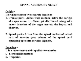SPINALACCESSORY NERVE
Origin:-
It originates from two separate locations
1. Cranial part:- Arises from medulla below the oorigin
of vagus nerve. Its fibers get distributed along with
motor branches of the vagus nerveto the larynx and
pharynx.
2. Spinal part:- Arises from the spinal nucleus of lateral
part of anterior grey column of the spinal cord
extending upto fifth cervical segment.
Function:-
It is a motor nerve and supplies two muscles
i. Sternocleidomastoid
ii. Trapezius
 
