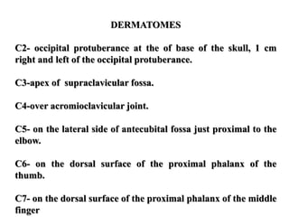 DERMATOMES
C2- occipital protuberance at the of base of the skull, 1 cm
right and left of the occipital protuberance.
C3-apex of supraclavicular fossa.
C4-over acromioclavicular joint.
C5- on the lateral side of antecubital fossa just proximal to the
elbow.
C6- on the dorsal surface of the proximal phalanx of the
thumb.
C7- on the dorsal surface of the proximal phalanx of the middle
finger
 