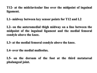 T12- at the midclavicular line over the midpoint of inguinal
ligament.
L1- midway between key sensor points for T12 and L2
L2- on the anteromedial thigh midway on a line between the
midpoint of the inguinal ligament and the medial femoral
condyle above the knee.
L3- at the medial femoral condyle above the knee.
L4- over the medial malleolus.
L5- on the dorsum of the foot at the third metatarsal
phalangeal joint.
 