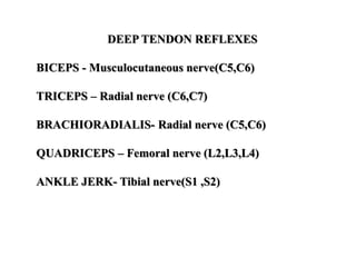 DEEP TENDON REFLEXES
BICEPS - Musculocutaneous nerve(C5,C6)
TRICEPS – Radial nerve (C6,C7)
BRACHIORADIALIS- Radial nerve (C5,C6)
QUADRICEPS – Femoral nerve (L2,L3,L4)
ANKLE JERK- Tibial nerve(S1 ,S2)
 