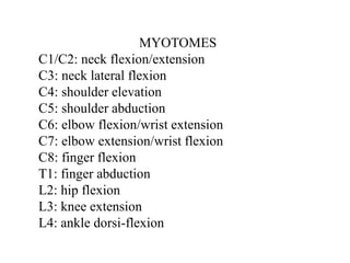 MYOTOMES
C1/C2: neck flexion/extension
C3: neck lateral flexion
C4: shoulder elevation
C5: shoulder abduction
C6: elbow flexion/wrist extension
C7: elbow extension/wrist flexion
C8: finger flexion
T1: finger abduction
L2: hip flexion
L3: knee extension
L4: ankle dorsi-flexion
 