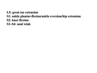 L5: great toe extension
S1: ankle plantar-flexion/ankle eversion/hip extension
S2: knee flexion
S3–S4: anal wink
 